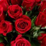 Red Roses Love Flowers Bouquet