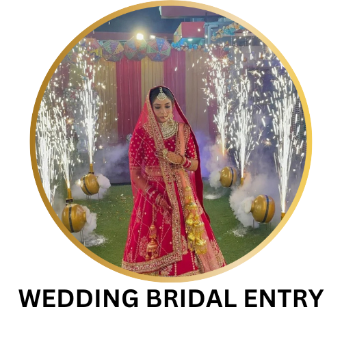 Wedding Bridal Entry Delhi