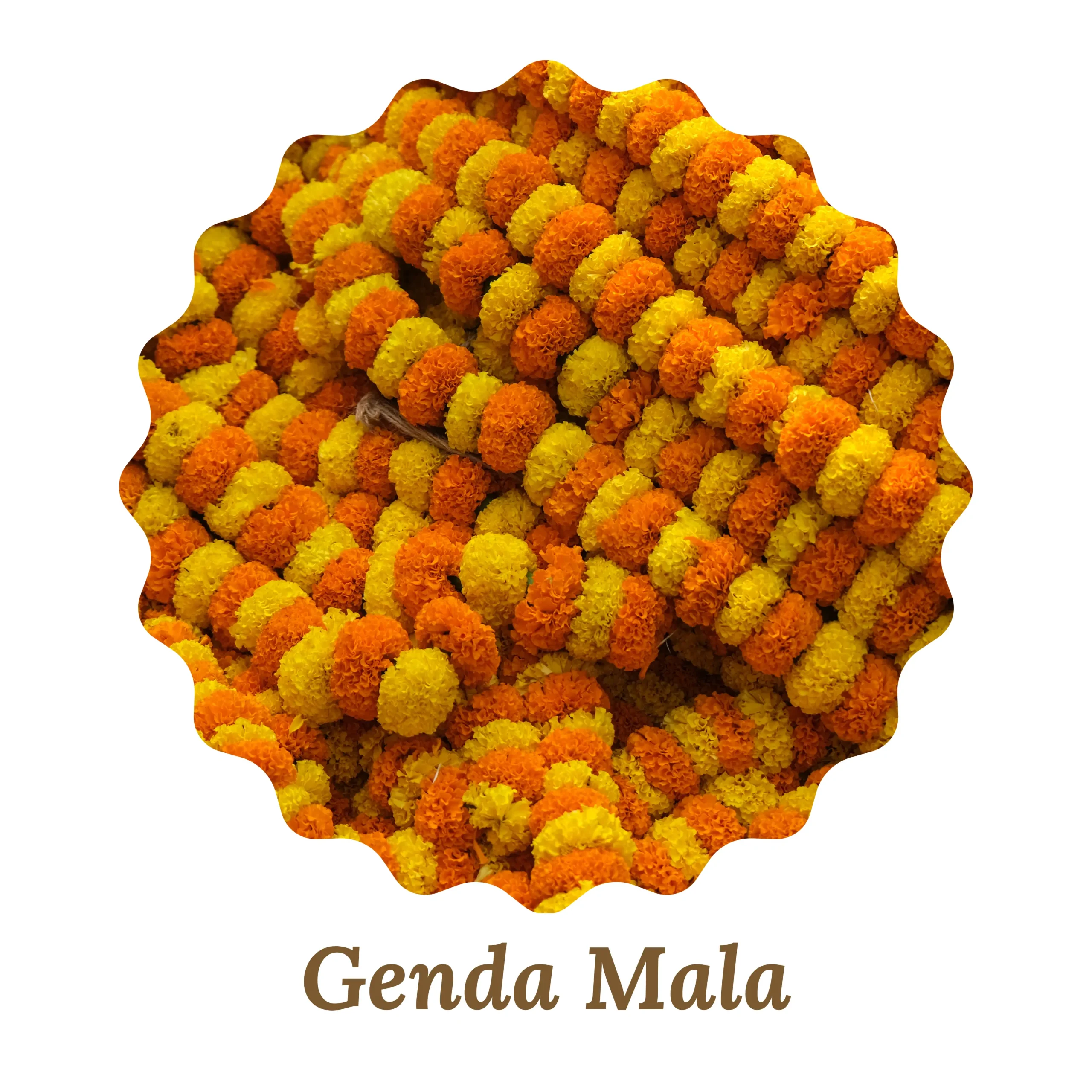 Genda Mala