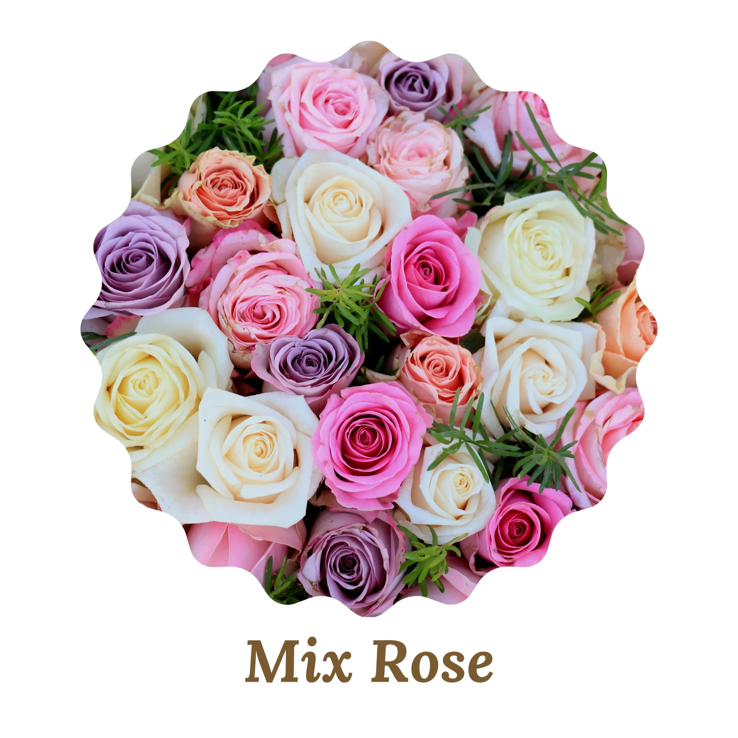 Mix Roses