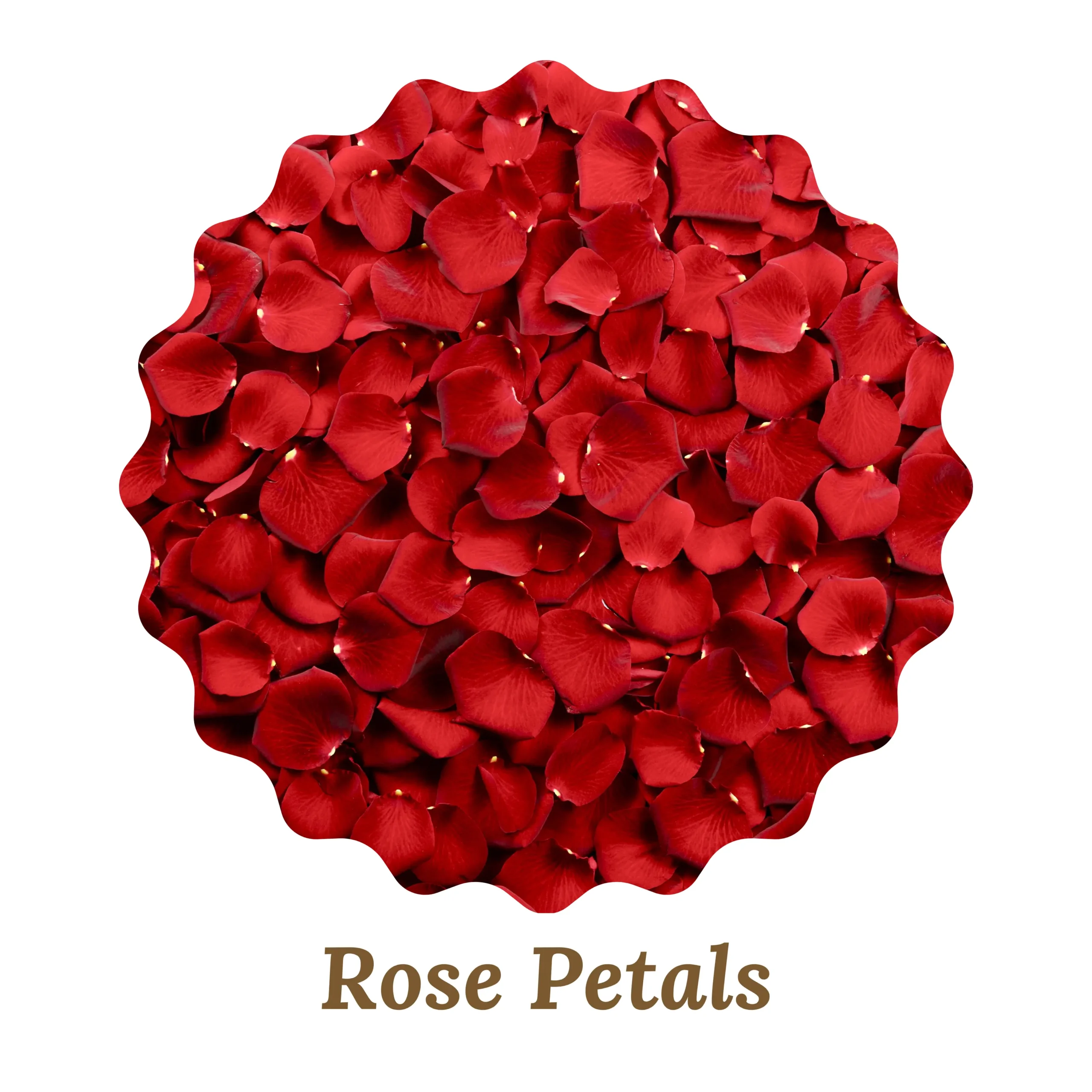 Rose Petals