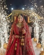 Groom And Bridal Entry In Delhi